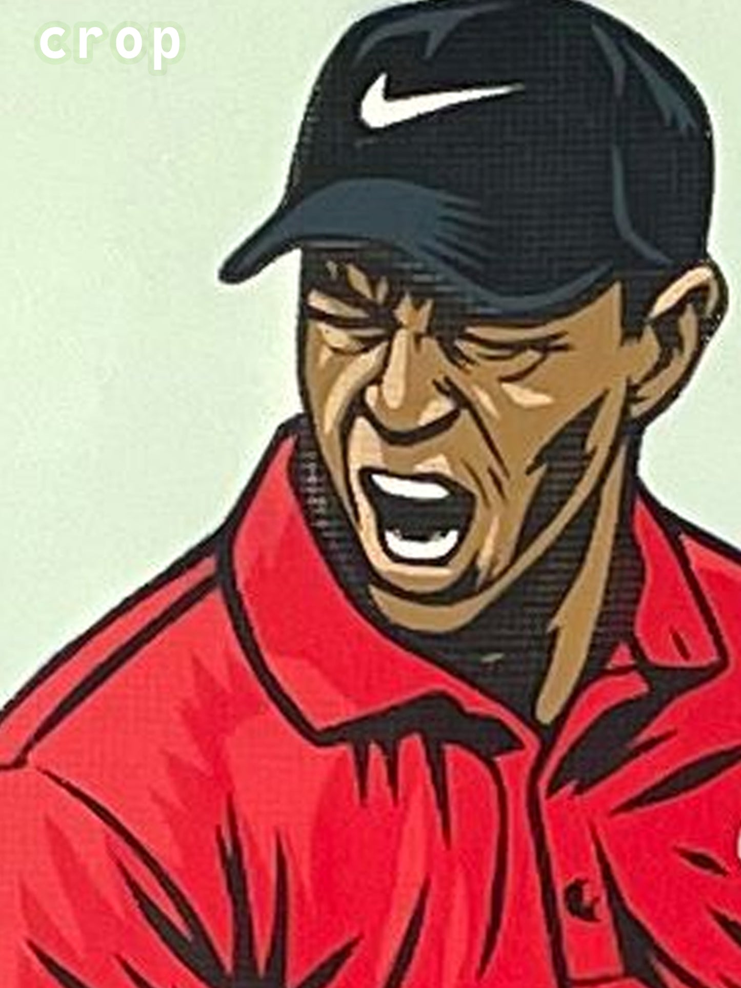 Tiger Woods Original