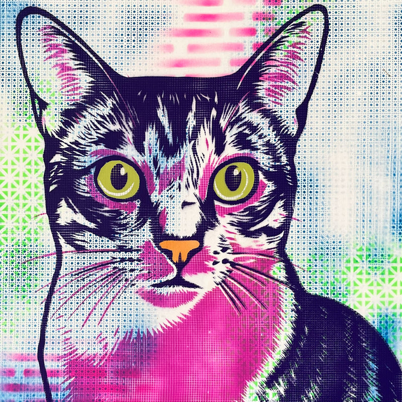 Pet Portraits
